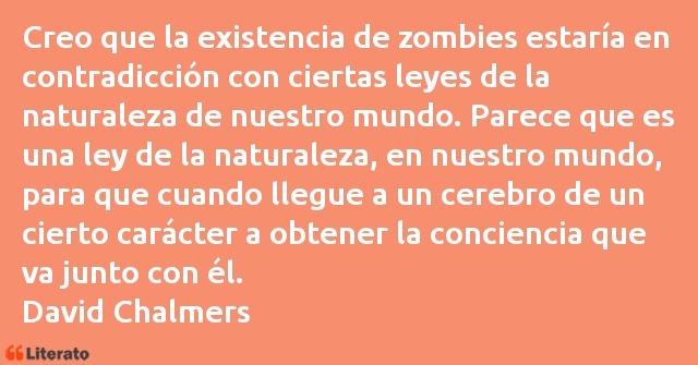 Frases de David Chalmers