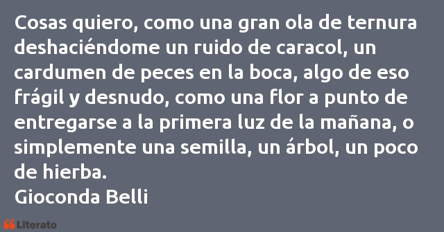 Frases de Gioconda Belli