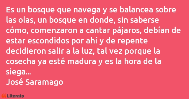 Frases de José Saramago