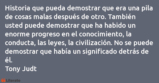 Frases de Tony Judt