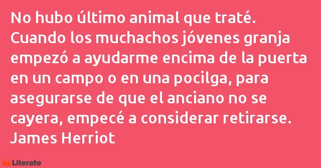 Frases de James Herriot