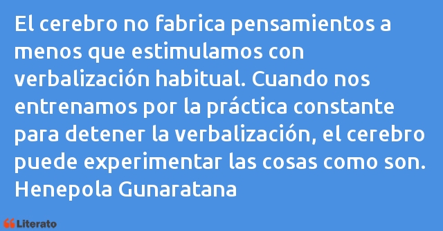 Frases de Henepola Gunaratana