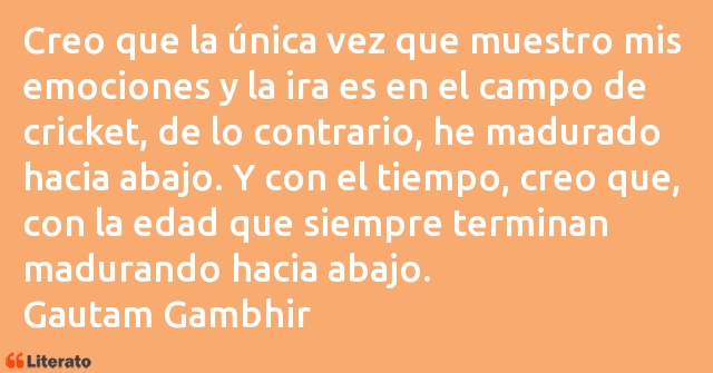 Frases de Gautam Gambhir