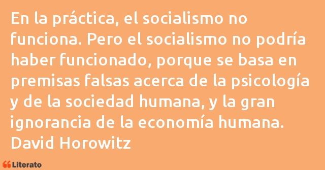 Frases de David Horowitz