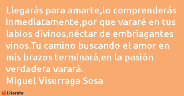 Frases de Miguel Visurraga Sosa