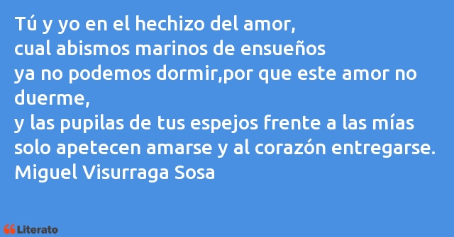 Frases de Miguel Visurraga Sosa