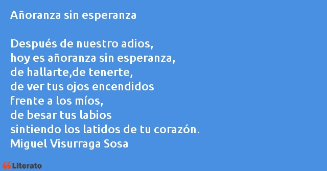 Frases de Miguel Visurraga Sosa