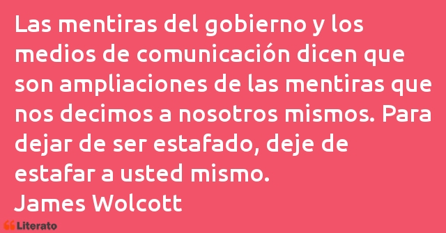 Frases de James Wolcott