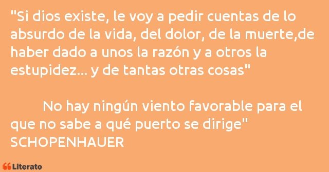 Frases de SCHOPENHAUER