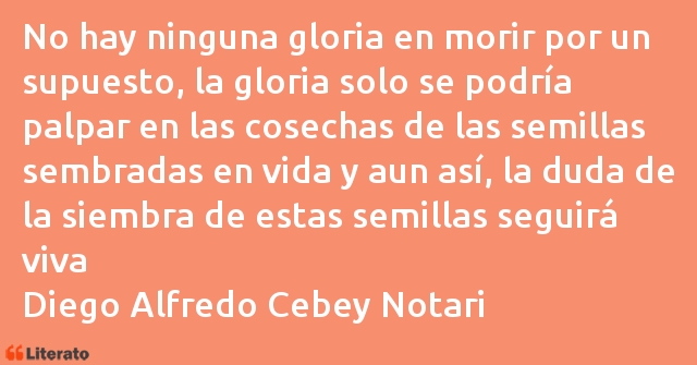 Frases de Diego Alfredo Cebey Notari
