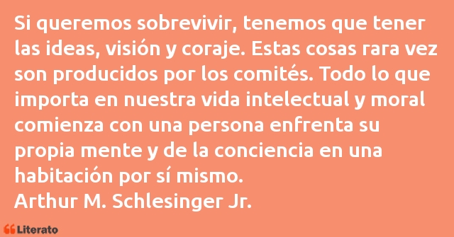 Frases de Arthur M. Schlesinger Jr.