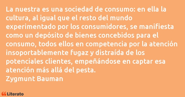 Frases de Zygmunt Bauman