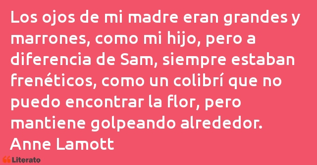 Frases de Anne Lamott