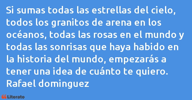 Frases de Rafael dominguez