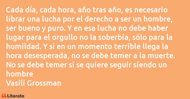 Frases de Vasili Grossman