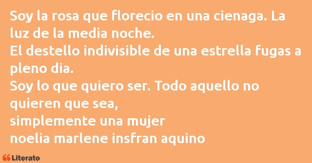 Frases de noelia marlene insfran aquino