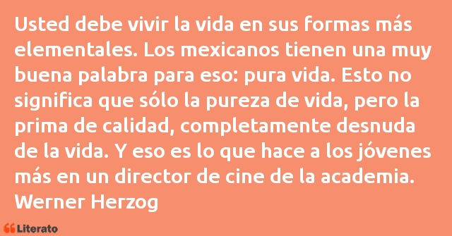 Frases de Werner Herzog