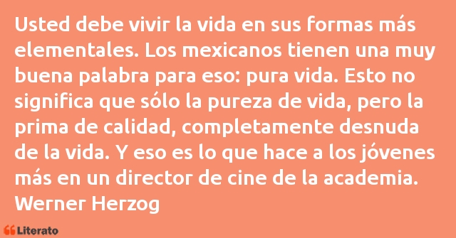 Frases de Werner Herzog