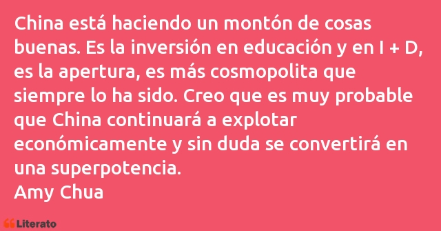 Frases de Amy Chua