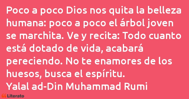 Frases de Yalal ad-Din Muhammad Rumi