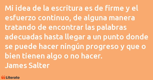 Frases de James Salter