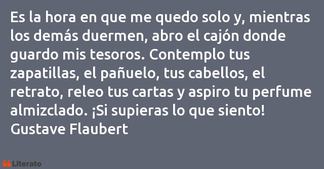 Frases de Gustave Flaubert