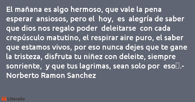 Frases de Norberto Ramon Sanchez