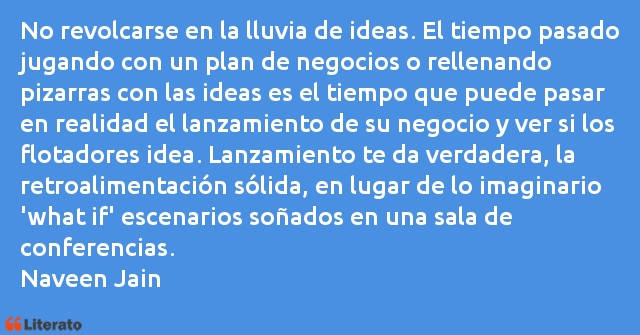 Frases de Naveen Jain