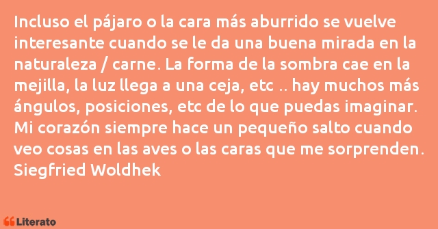 Frases de Siegfried Woldhek