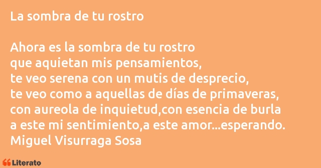 Frases de Miguel Visurraga Sosa