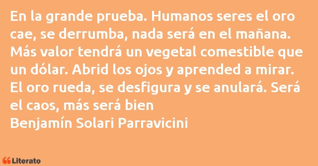 Frases de Benjamín Solari Parravicini