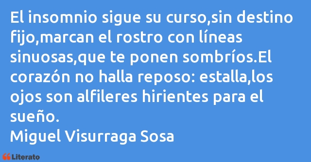 Frases de Miguel Visurraga Sosa