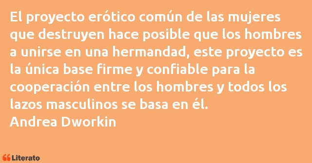 Frases de Andrea Dworkin