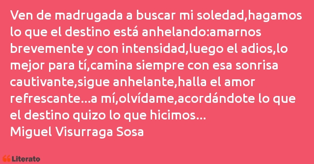 Frases de Miguel Visurraga Sosa