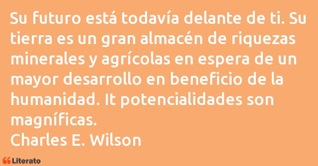 Frases de Charles E. Wilson