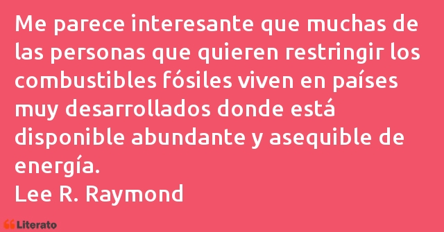 Frases de Lee R. Raymond