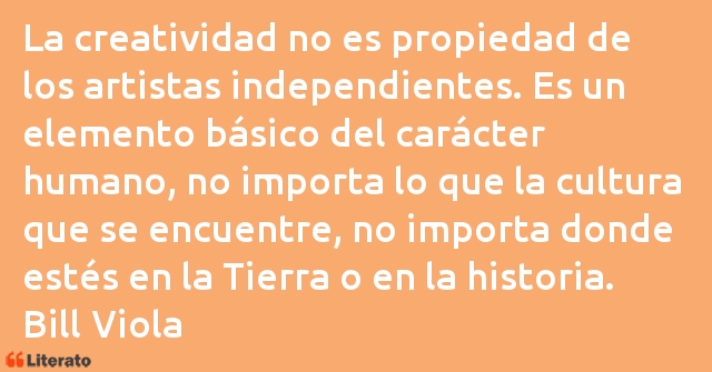 Frases de Bill Viola