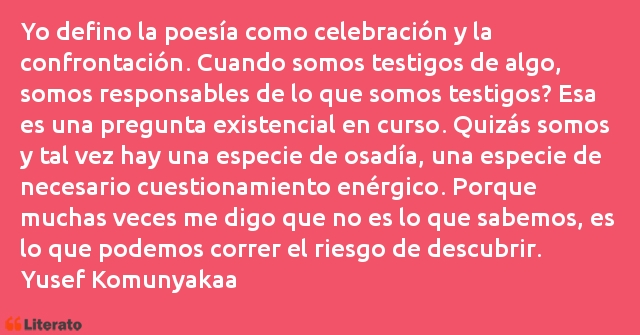 Frases de Yusef Komunyakaa
