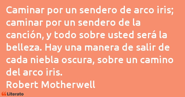 Frases de Robert Motherwell