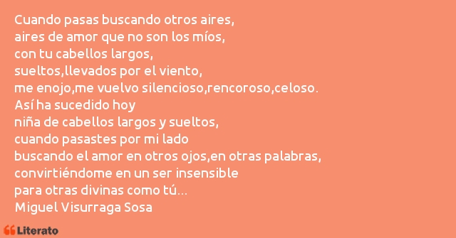 Frases de Miguel Visurraga Sosa