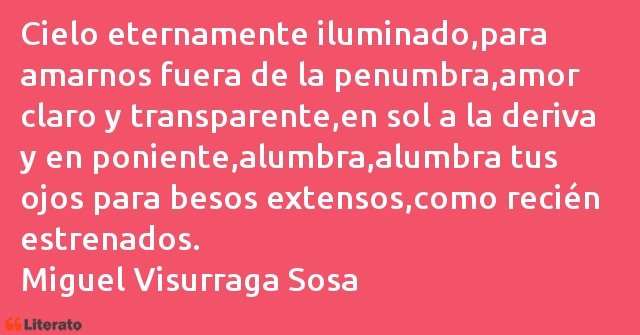 Frases de Miguel Visurraga Sosa