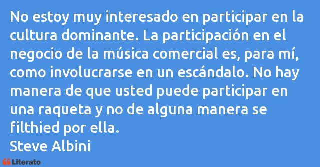 Frases de Steve Albini