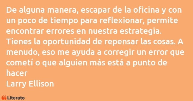 Frases de Larry Ellison