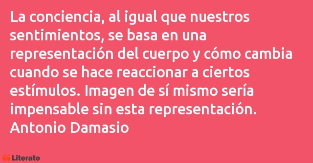 Frases de Antonio Damasio