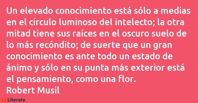 Frases de Robert Musil