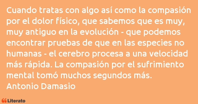 Frases de Antonio Damasio