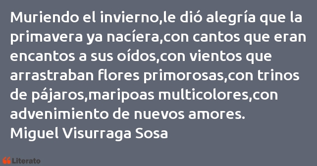 Frases de Miguel Visurraga Sosa