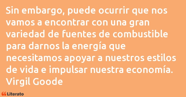 Frases de Virgil Goode