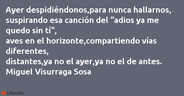 Frases de Miguel Visurraga Sosa