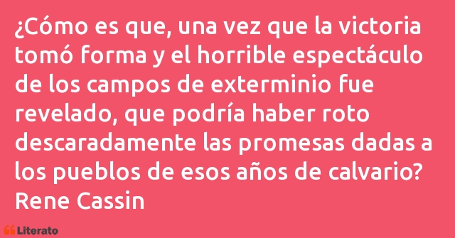 Frases de Rene Cassin